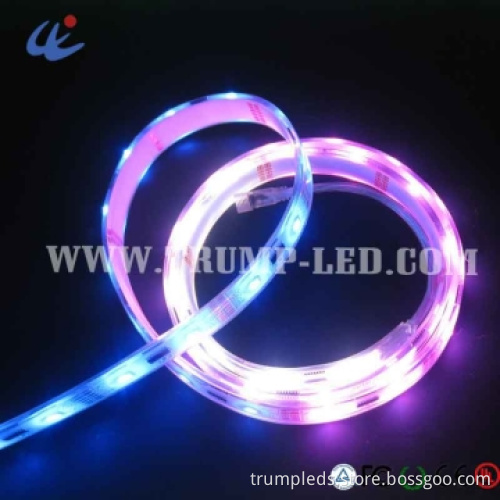 RGB IP68 5050 Waterproof LED Strip Light for Aquarium and Sea